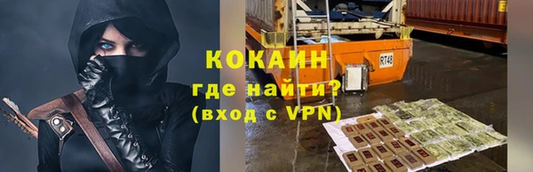 дживик Богданович