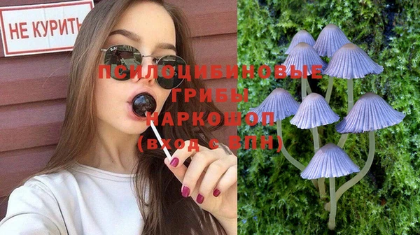 дживик Богданович