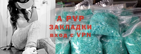 дживик Богданович