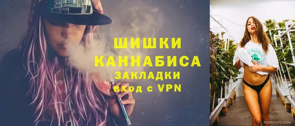 прущий лед Богородск