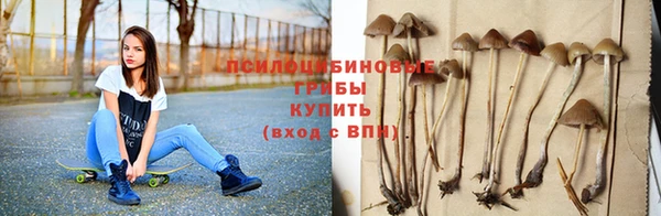 прущий лед Богородск