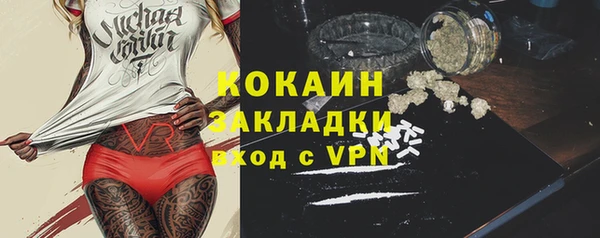 дживик Богданович